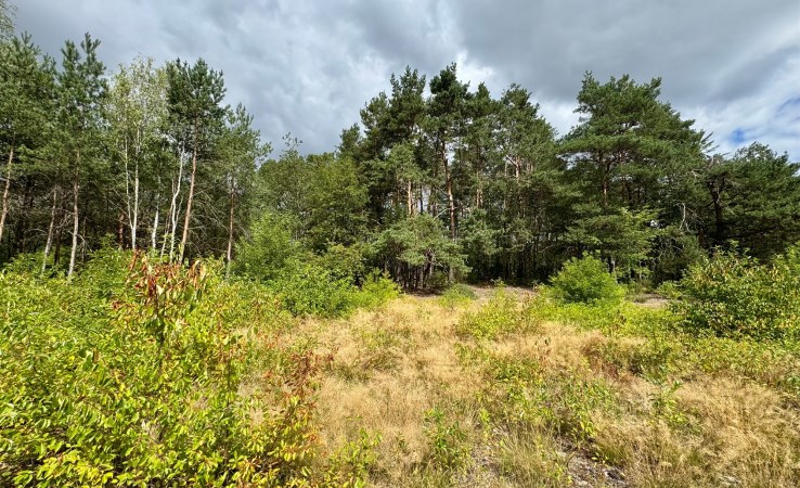 działka na sprzedaż - Tomaszów Mazowiecki, Ludowa