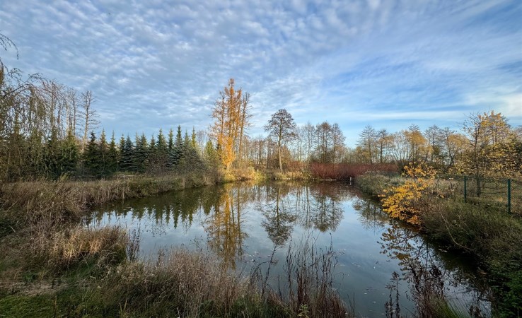działka na sprzedaż - Ujazd, Sangrodz, Lipowa