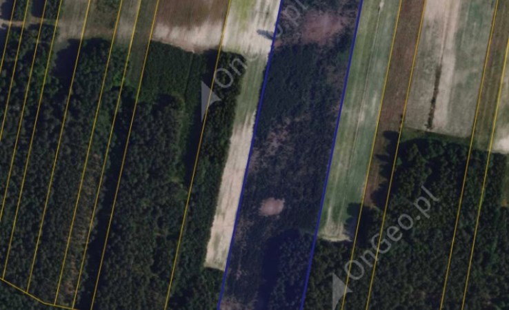 działka na sprzedaż - Poświętne