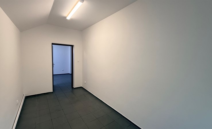 lokal na wynajem - Opoczno, Piotrkowska